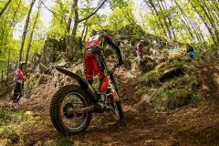 Trial_StMamet_23_JC-8683